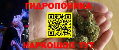 прущие крисы Абакан