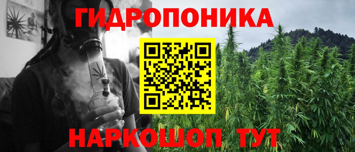 Шишки марихуана Amnesia Алушта